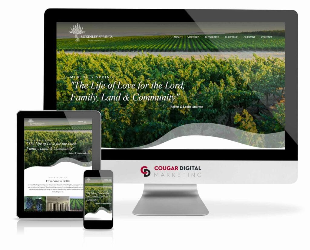 McKinley Springs Website website design