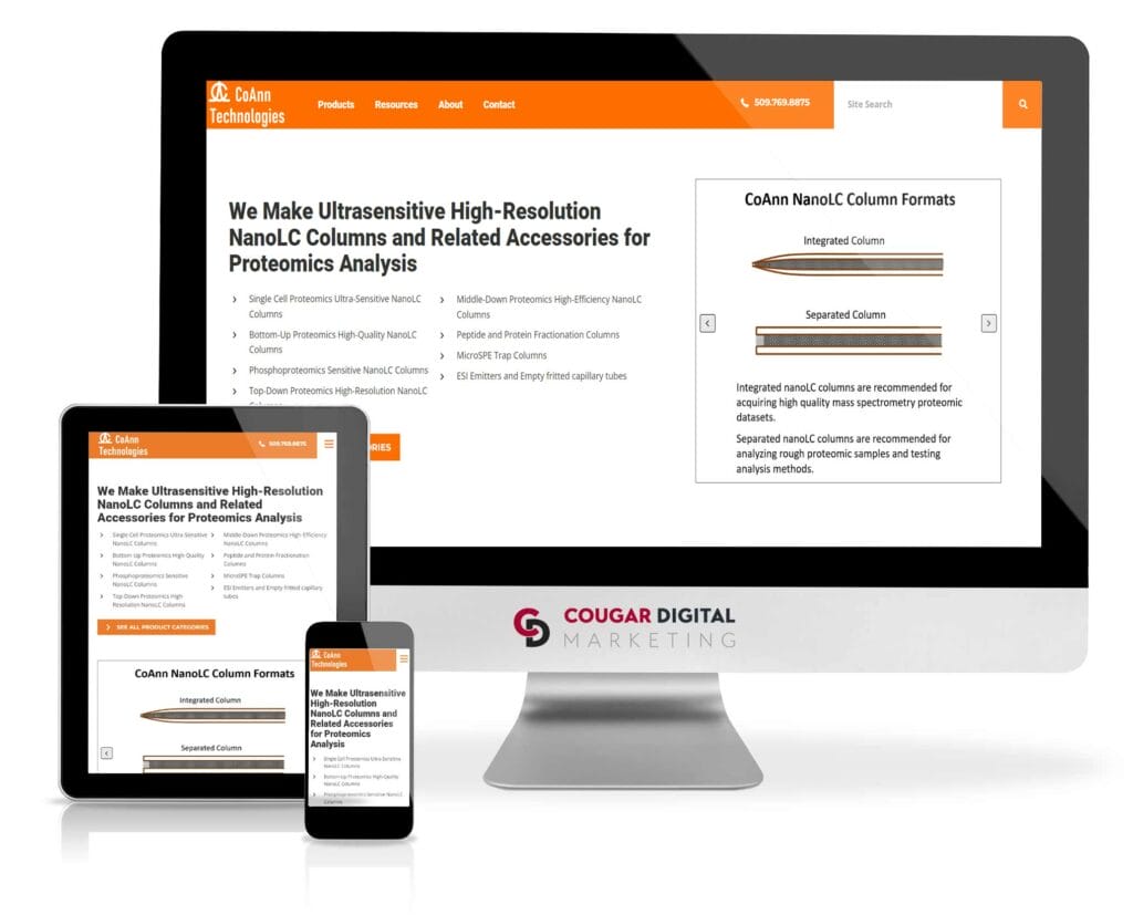 CoAnn Technologies website design