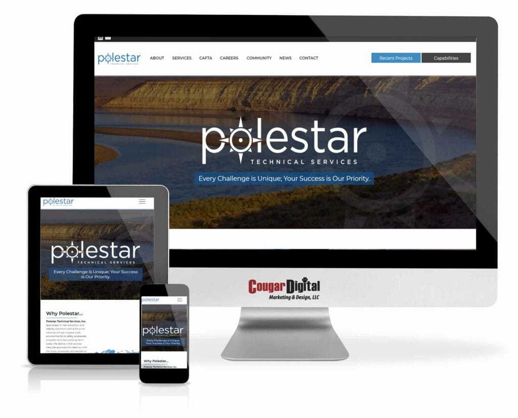 Polestar website design