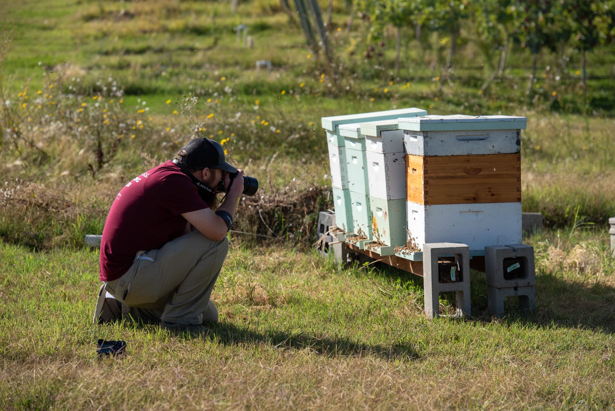 my_local_honey_48 my local honey 48