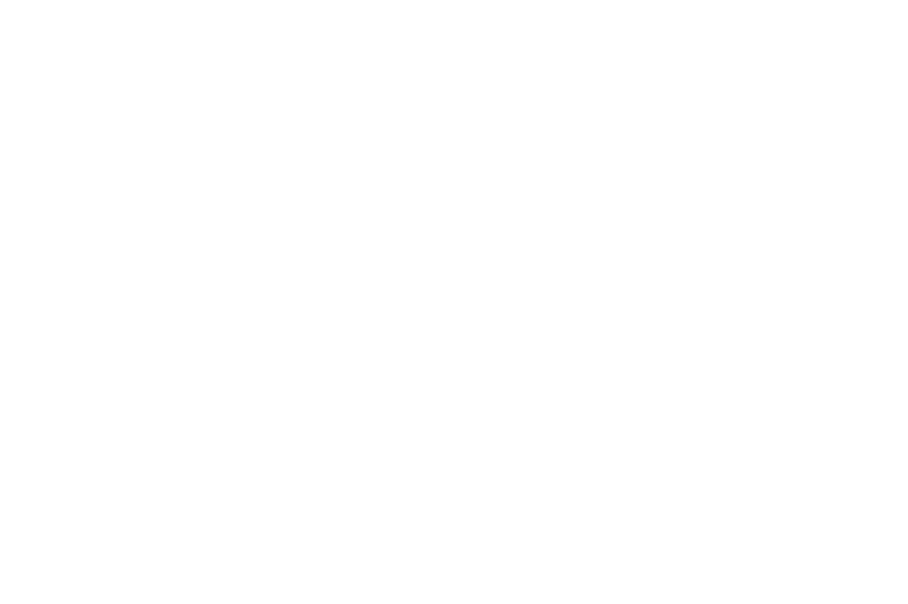 Blank white rectangle on a transparent background.