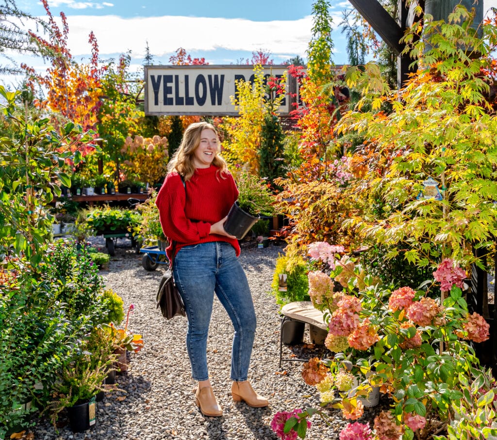 Woman holding plant at outdoor nursery