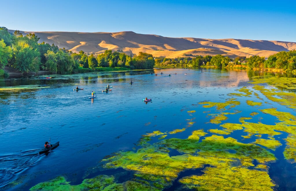 Kayakers paddle on river surrounded by sand dunes.