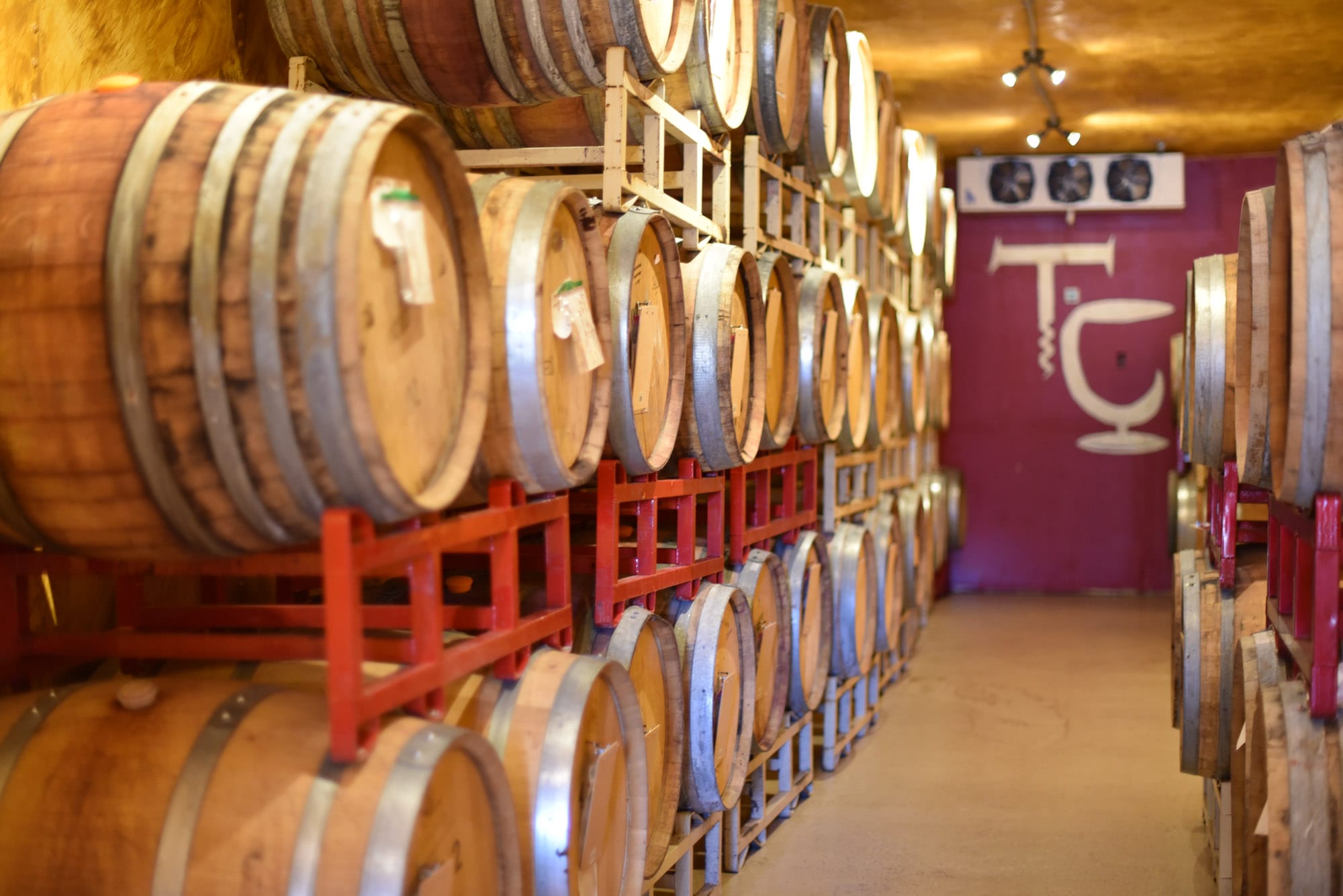 Wine barrels in cellar storage room.