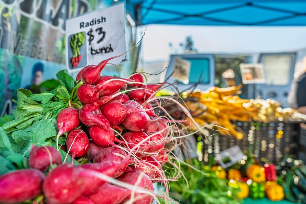 Fresh radishes for sale at farmers market